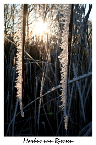 20120203203604-48e9746b