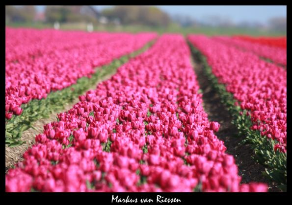 IMG_3279-markz