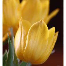 20120203204030-2fcab344