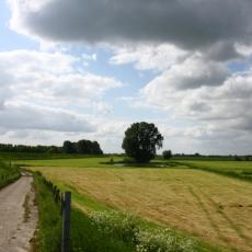 Herschaalde kopie van IMG_4357