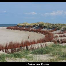 IMG_3098-markz