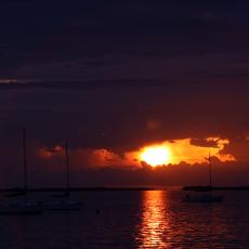 IMG_5150
