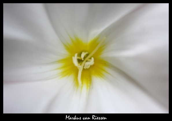 IMG_4218-markz