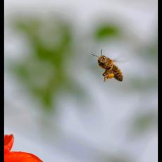 20120203204243-f0e248f3