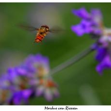 20120203204235-7ed62b4a