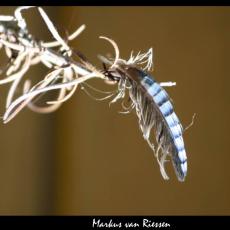 20120203203215-247b7127