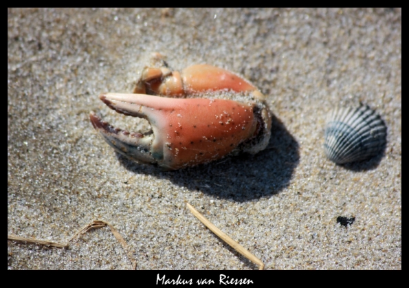 IMG_3069-markz